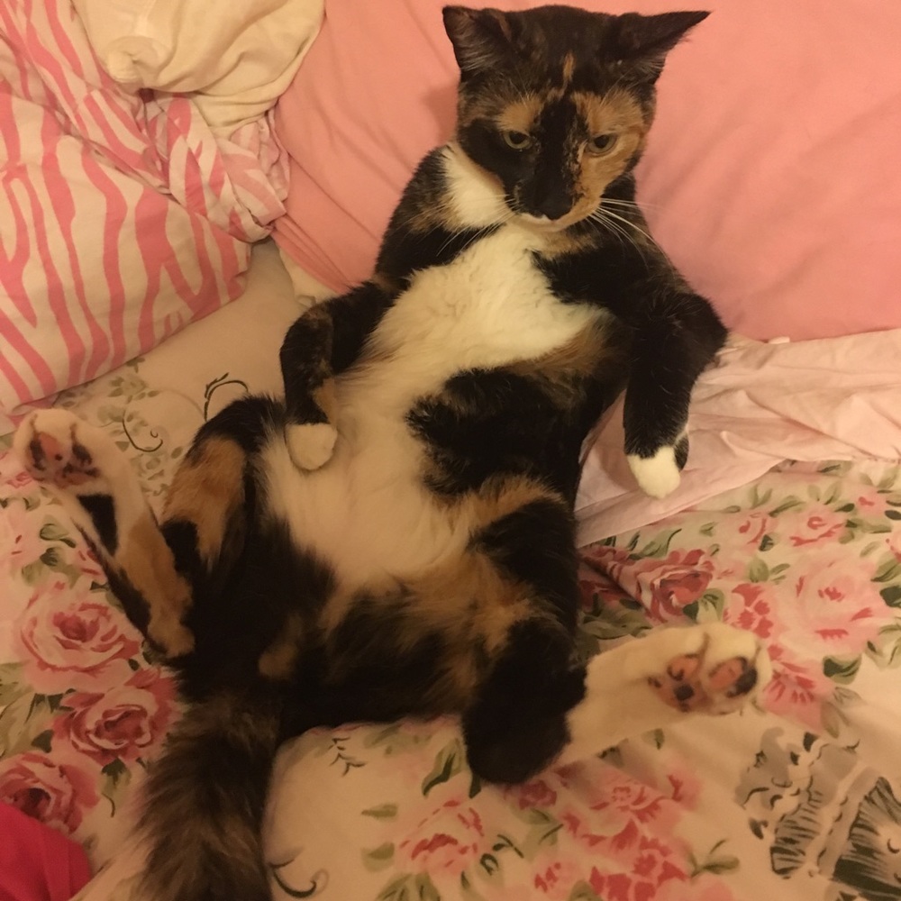 Meet your Posher, Erwin